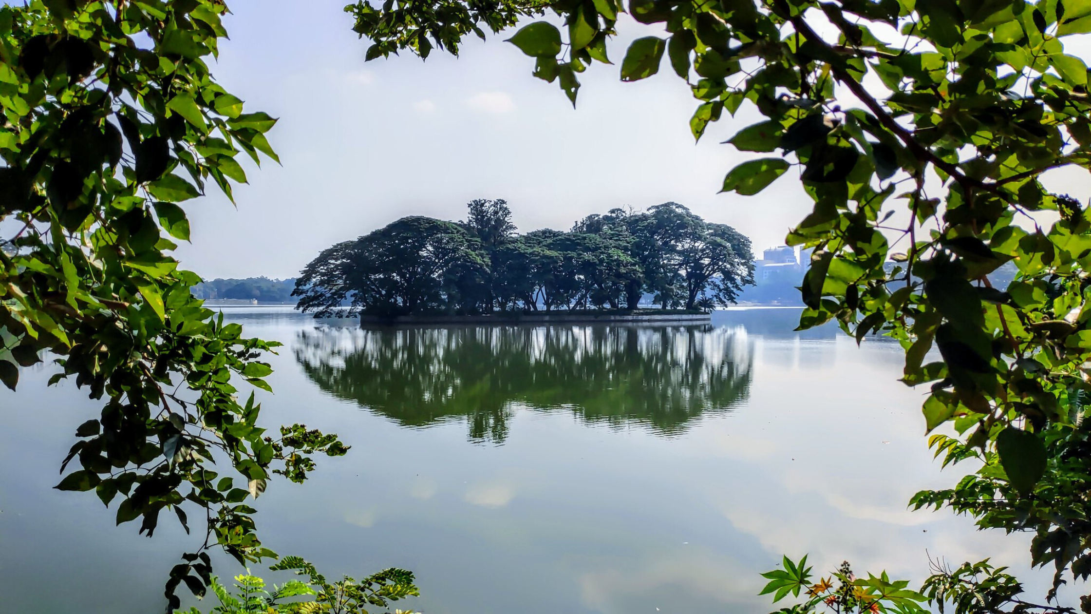 Why Should You Visit Ulsoor Lake