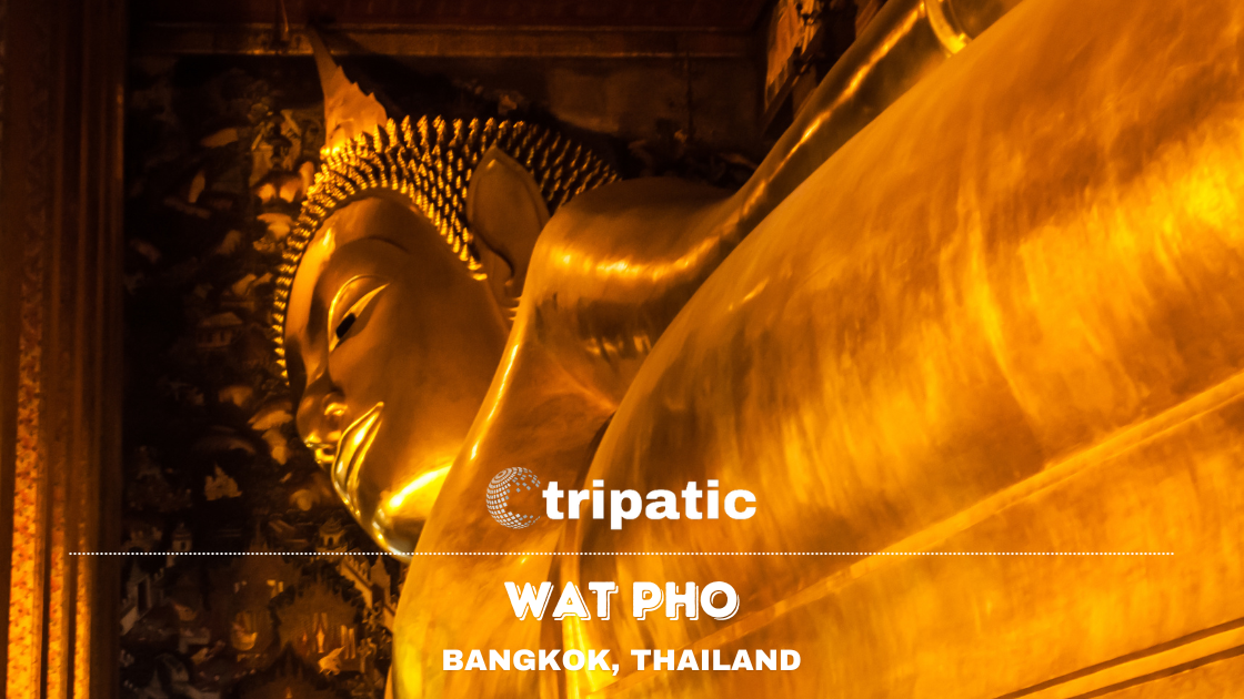 Why Should You Visit Wat Pho